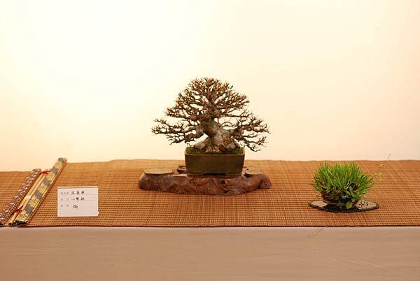 DSC_7730.jpg DSC_7730.jpg