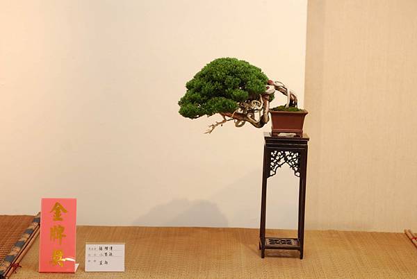 DSC_7729.jpg DSC_7729.jpg