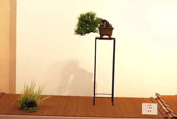 DSC_7731.jpg DSC_7731.jpg