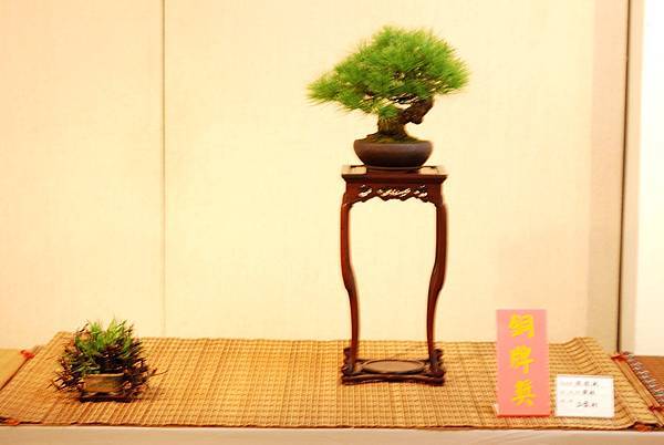 DSC_7733.jpg DSC_7733.jpg