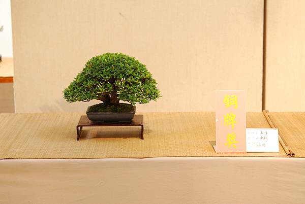 DSC_7738.jpg DSC_7738.jpg