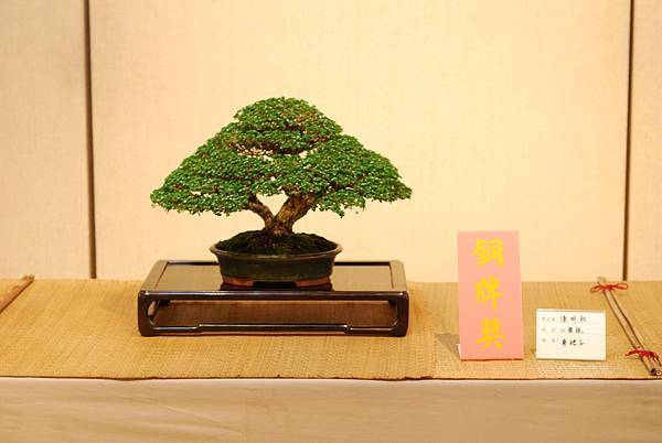 DSC_7737.jpg DSC_7737.jpg