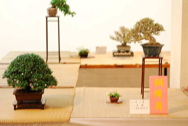 DSC_7739.jpg DSC_7739.jpg