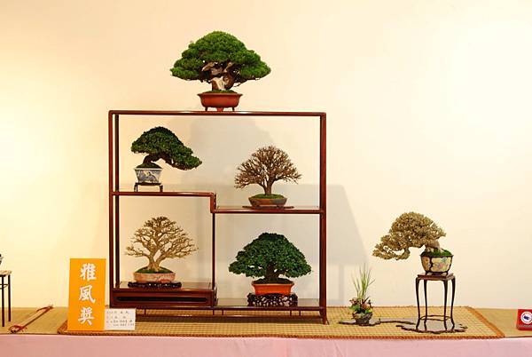 DSC_7740.jpg DSC_7740.jpg