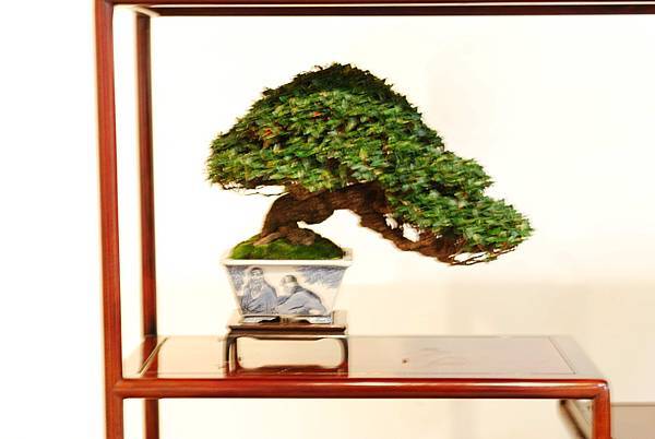 DSC_7745.jpg DSC_7745.jpg