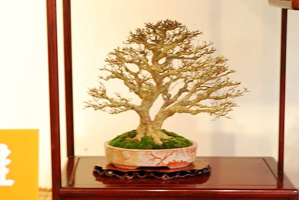 DSC_7748.jpg DSC_7748.jpg