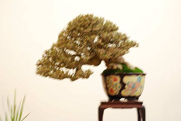 DSC_7754.jpg DSC_7754.jpg