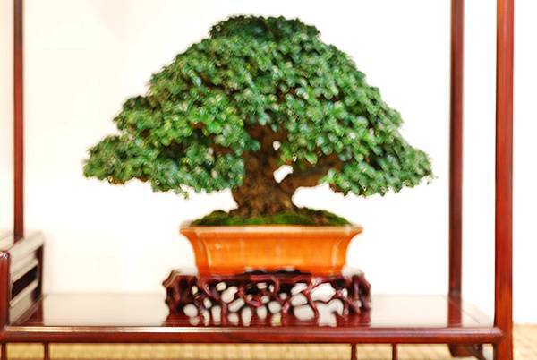 DSC_7753.jpg DSC_7753.jpg