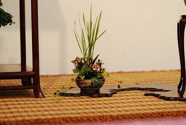 DSC_7755.jpg DSC_7755.jpg