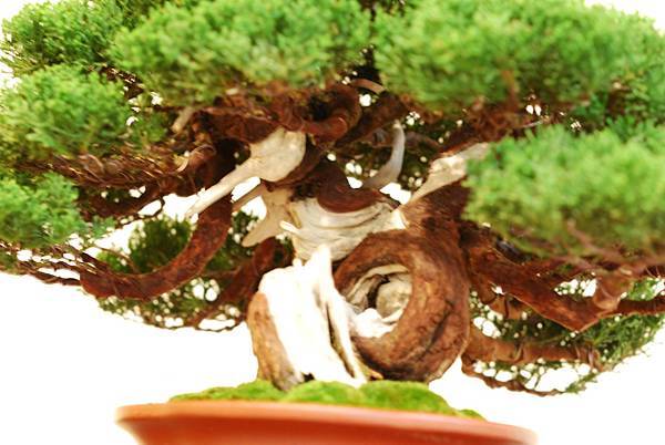 DSC_7758.jpg DSC_7758.jpg