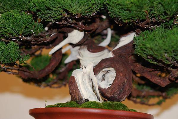 DSC_7760.jpg DSC_7760.jpg