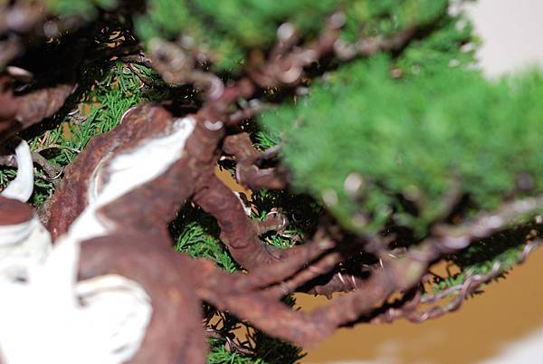 DSC_7762.jpg DSC_7762.jpg