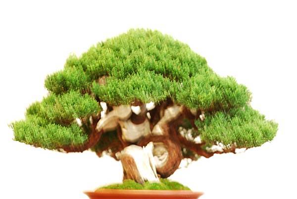 DSC_7764.jpg DSC_7764.jpg