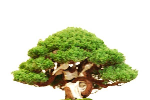 DSC_7765.jpg DSC_7765.jpg