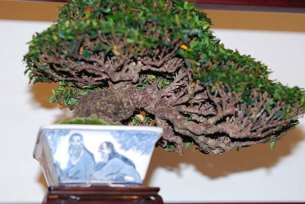 DSC_7767.jpg DSC_7767.jpg