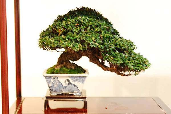 DSC_7766.jpg DSC_7766.jpg