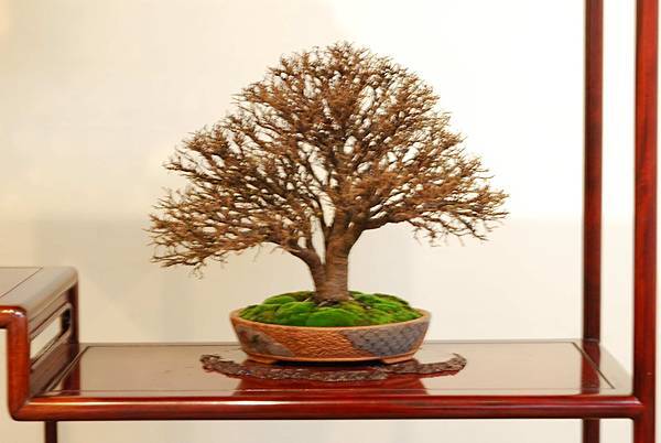 DSC_7769.jpg DSC_7769.jpg