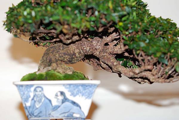 DSC_7768.jpg DSC_7768.jpg