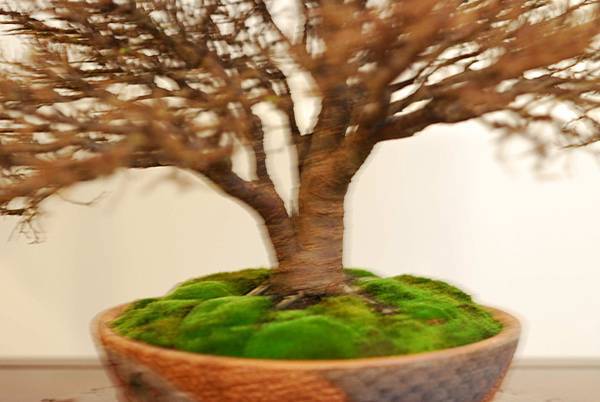 DSC_7771.jpg DSC_7771.jpg