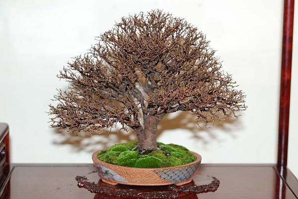 DSC_7780.jpg DSC_7780.jpg