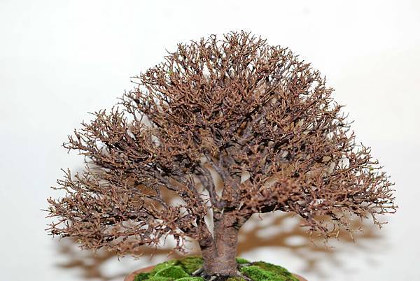 DSC_7783.jpg DSC_7783.jpg