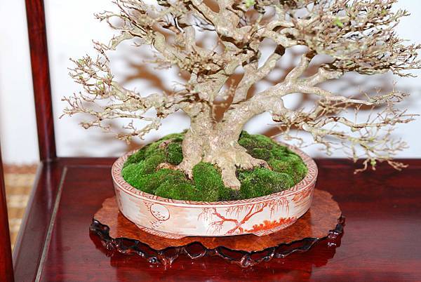 DSC_7789.jpg DSC_7789.jpg