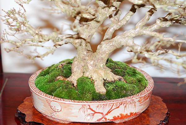 DSC_7788.jpg DSC_7788.jpg