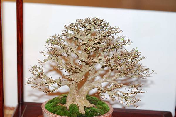 DSC_7791.jpg DSC_7791.jpg