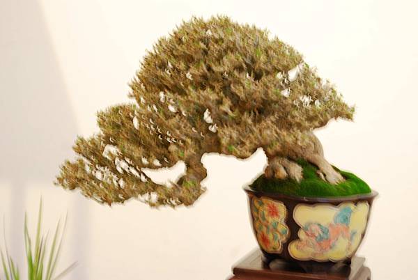 DSC_7792.jpg DSC_7792.jpg