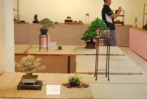 DSC_7797.jpg DSC_7797.jpg