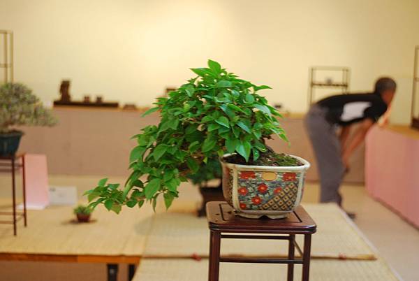 DSC_7801.jpg DSC_7801.jpg