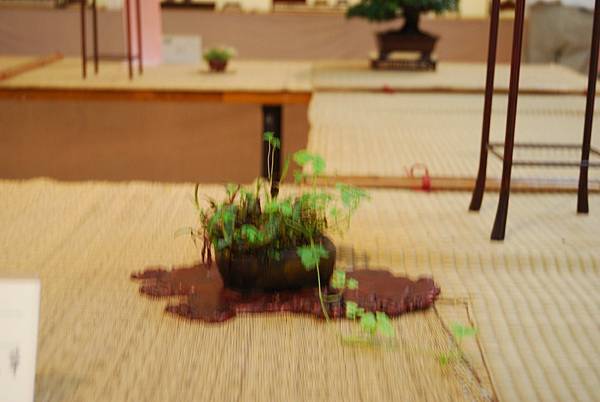 DSC_7802.jpg DSC_7802.jpg