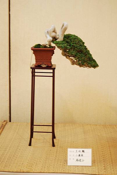 DSC_7804.jpg DSC_7804.jpg