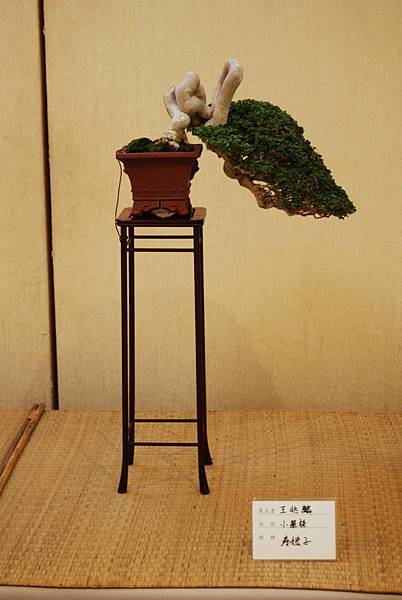 DSC_7803.jpg DSC_7803.jpg