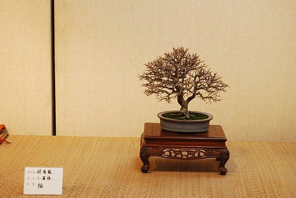 DSC_7807.jpg DSC_7807.jpg