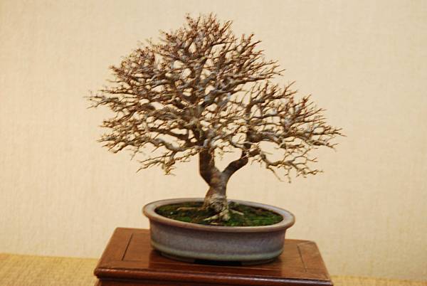 DSC_7808.jpg DSC_7808.jpg