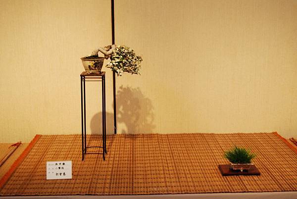 DSC_7809.jpg DSC_7809.jpg