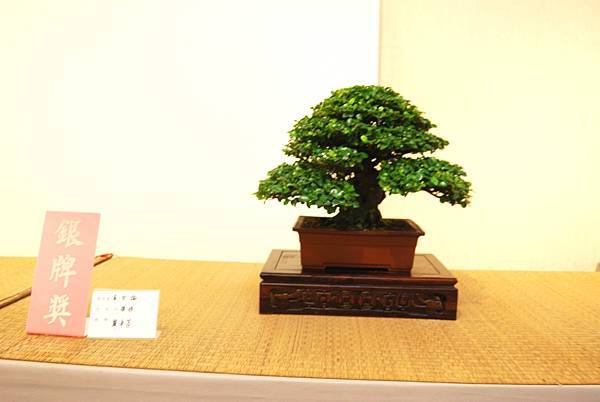 DSC_7812.jpg DSC_7812.jpg