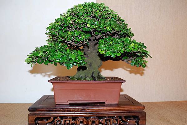 DSC_7814.jpg DSC_7814.jpg