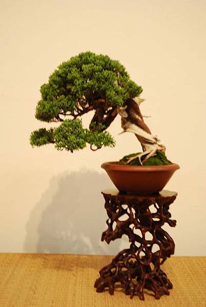 DSC_7817.jpg DSC_7817.jpg