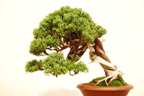 DSC_7819.jpg DSC_7819.jpg