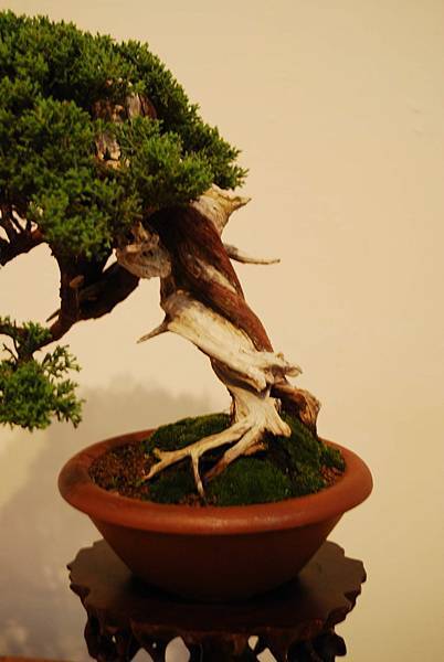 DSC_7818.jpg DSC_7818.jpg