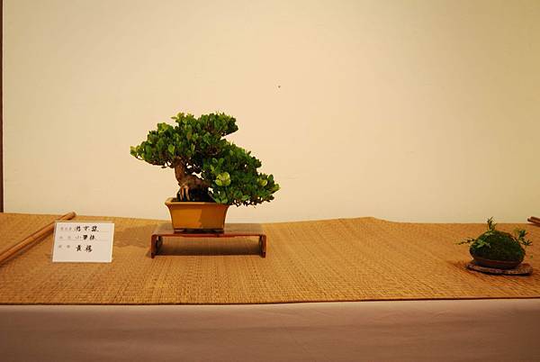 DSC_7821.jpg DSC_7821.jpg