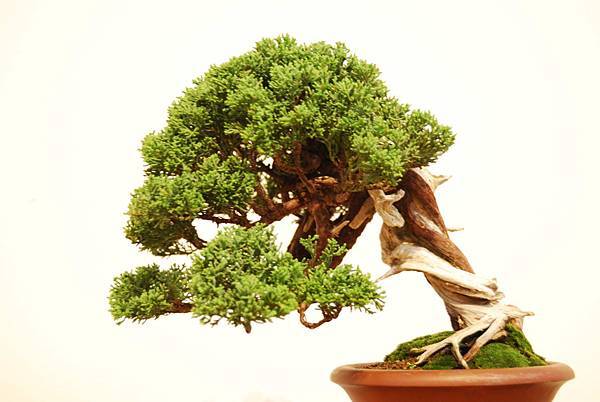 DSC_7820.jpg DSC_7820.jpg