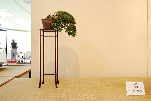 DSC_7824.jpg DSC_7824.jpg