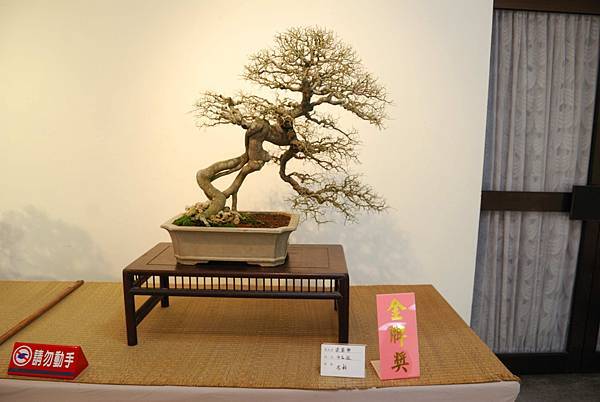 DSC_7825.jpg DSC_7825.jpg