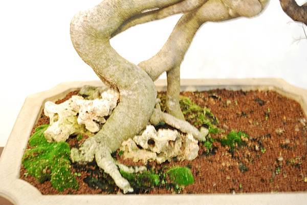 DSC_7826.jpg DSC_7826.jpg