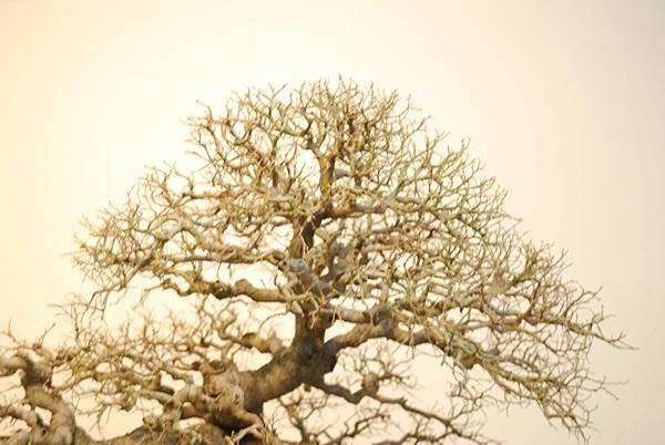 DSC_7828.jpg DSC_7828.jpg