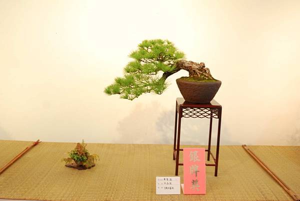 DSC_7831.jpg DSC_7831.jpg