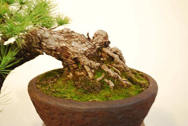 DSC_7833.jpg DSC_7833.jpg